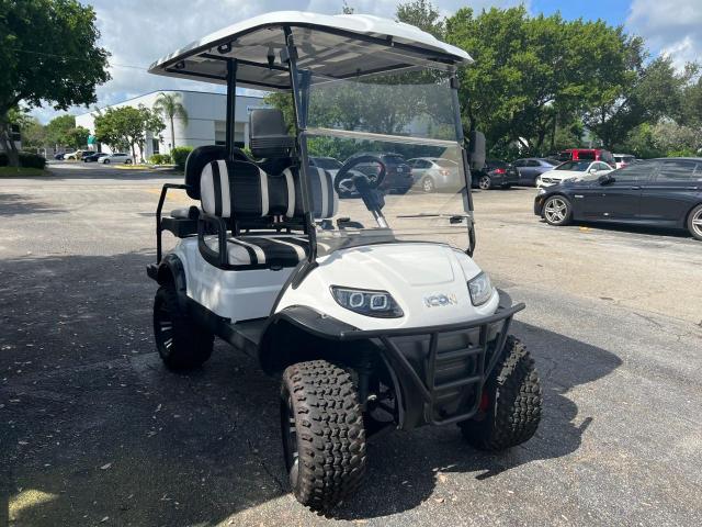 FLA10834 - 2019 ICON GOLFCART WHITE photo 1