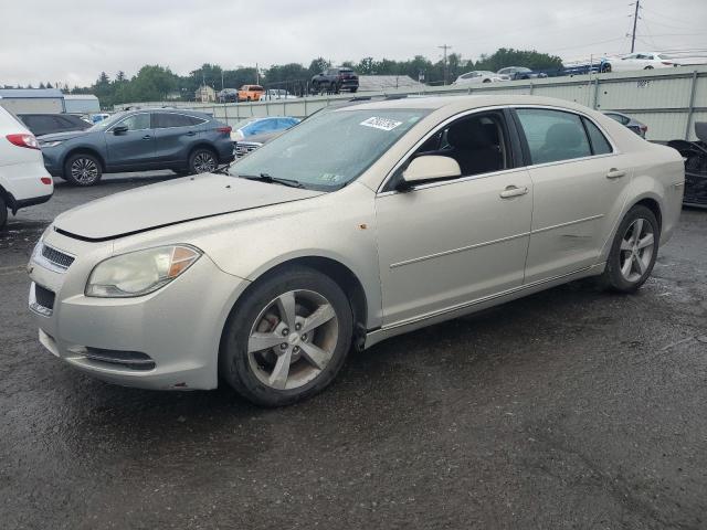 1G1ZC5E1XBF173787 - 2011 CHEVROLET MALIBU 1LT ბეჟი ფოტო 1