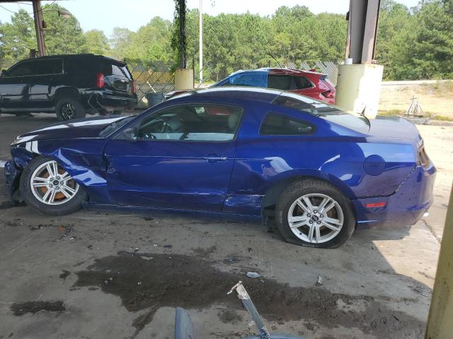 1ZVBP8AM0D5265477 - 2013 FORD MUSTANG BLUE photo 2