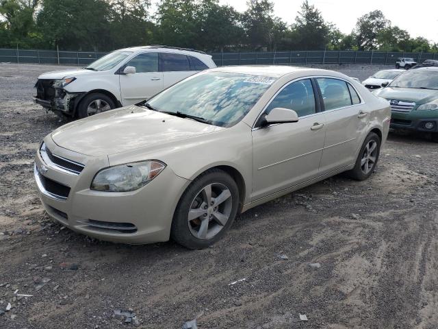 1G1ZC5EU1BF246829 - 2011 CHEVROLET MALIBU 1LT 棕色 照片 1