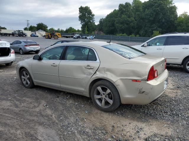1G1ZC5EU1BF246829 - 2011 CHEVROLET MALIBU 1LT 棕色 照片 2