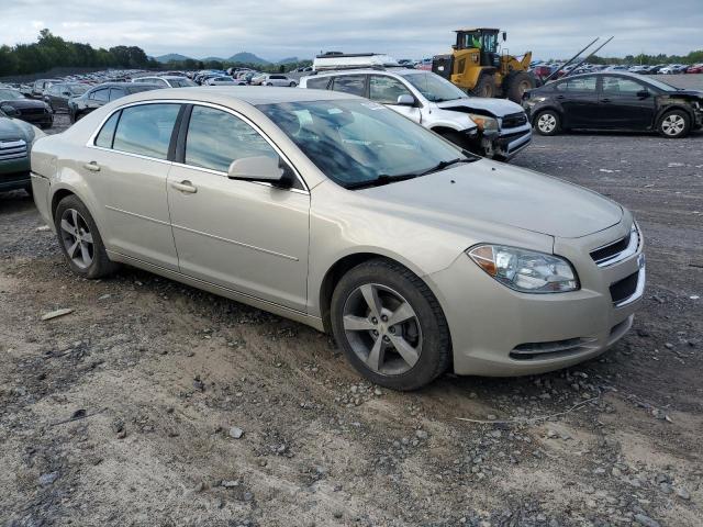 1G1ZC5EU1BF246829 - 2011 CHEVROLET MALIBU 1LT 棕色 照片 4
