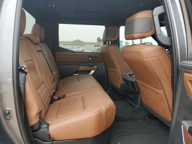 5TFMA5DBXPX101300 - 2023 TOYOTA TUNDRA CREWMAX PLATINUM ნაცრისფერი ფოტო 10