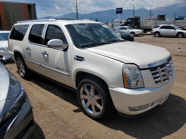 1GYFK26269R224885 - 2009 CADILLAC ESCALADE ESV LUXURY CREAM photo 4