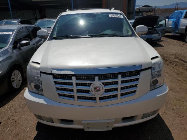 1GYFK26269R224885 - 2009 CADILLAC ESCALADE ESV LUXURY CREAM photo 5