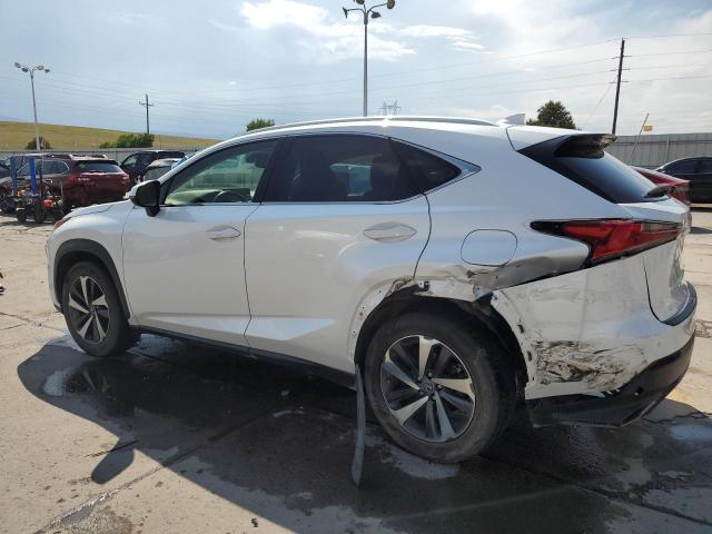 JTJBARBZ0K2206526 - 2019 LEXUS NX 300 BASE თეთრი ფოტო 2