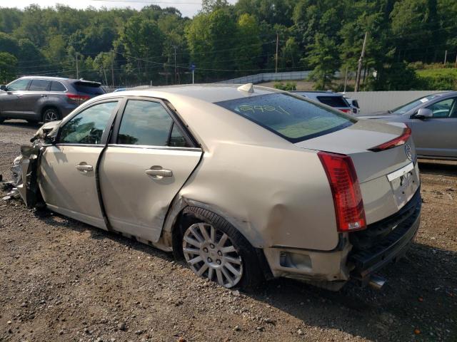 1G6DF577990162421 - 2009 CADILLAC CTS CREAM photo 2