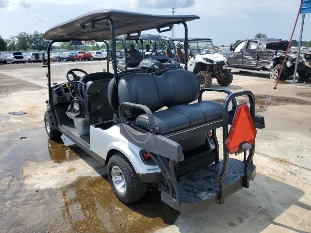 1E9656E75MS638520 - 2021 EXGO GOLF CART SILVER photo 3