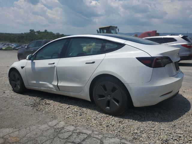 5YJ3E1EA2MF096033 - 2021 TESLA MODEL 3 Ağ foto 2