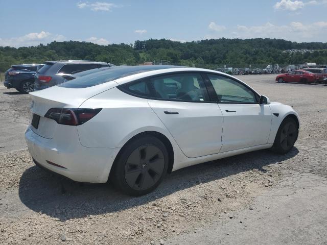5YJ3E1EA2MF096033 - 2021 TESLA MODEL 3 Ağ foto 3