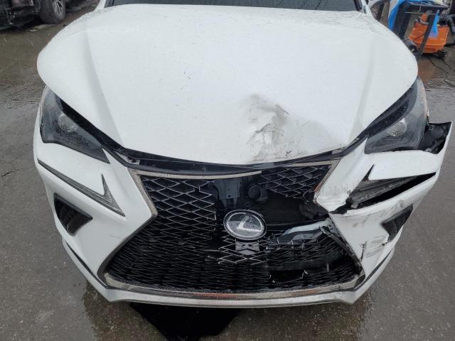 JTJYARBZ7J2096843 - 2018 LEXUS NX 300 BASE Ağ foto 12