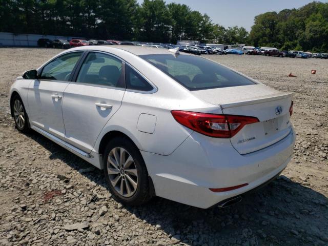 5NPE34AF5FH021641 - 2015 HYUNDAI SONATA SPORT WHITE photo 2