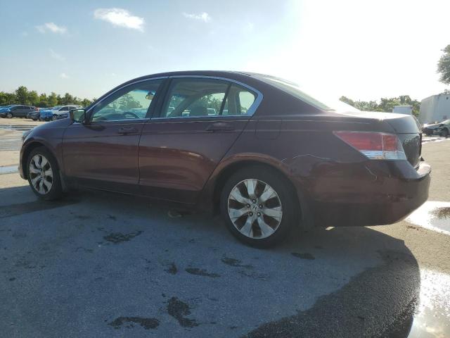 1HGCP2F73AA007126 - 2010 HONDA ACCORD EX BURGUNDY photo 2