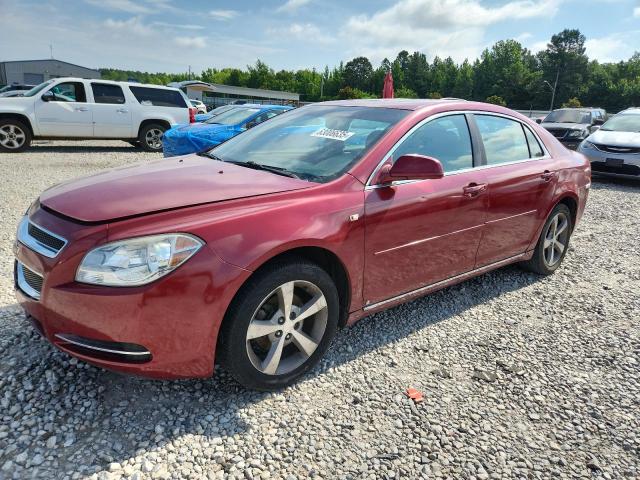 1G1ZC5E13BF283659 - 2011 CHEVROLET MALIBU 1LT RED photo 1