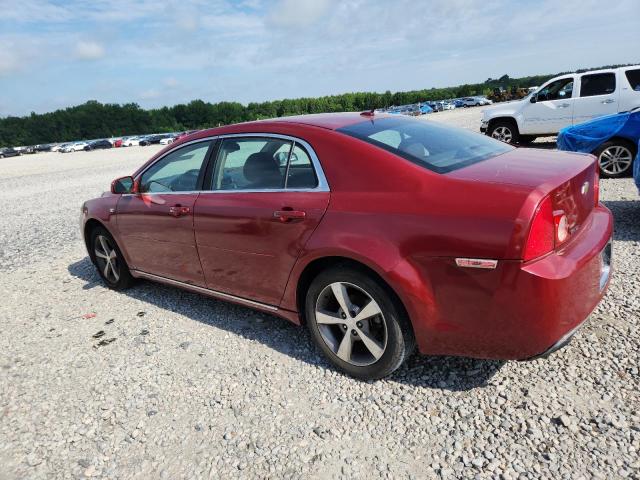 1G1ZC5E13BF283659 - 2011 CHEVROLET MALIBU 1LT RED photo 2