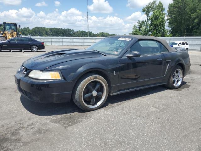 1999 FORD MUSTANG COBRA SVT, null
