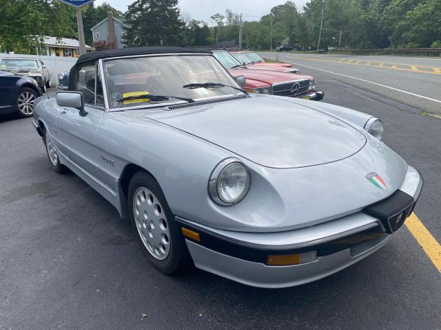 1987 ALFA ROMEO SPIDER QUADRIFOGLIO, null