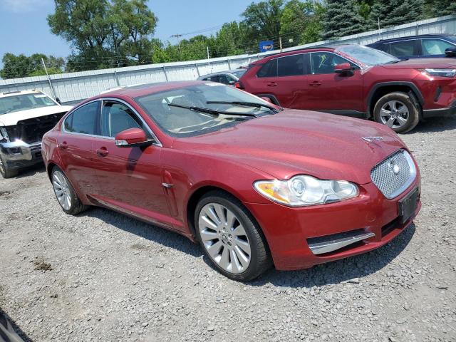 SAJWA06B59HR30279 - 2009 JAGUAR XF PREMIUM LUXURY RED photo 4