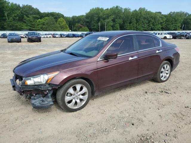 2010 HONDA ACCORD EXL, 
