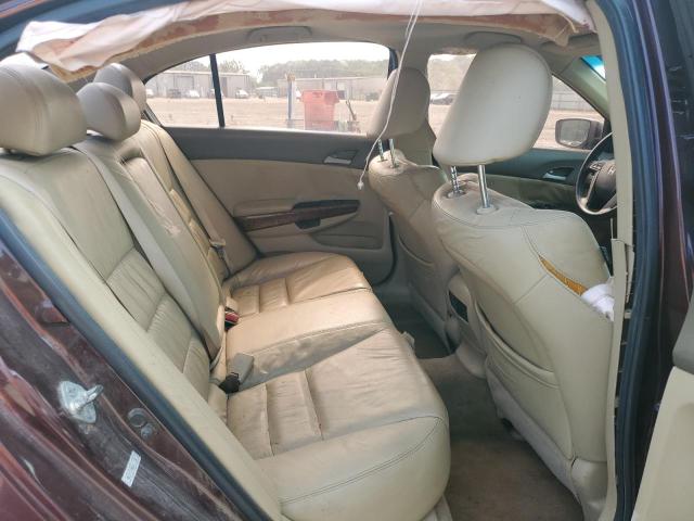 5KBCP3F85AB011362 - 2010 HONDA ACCORD EXL MAROON photo 10