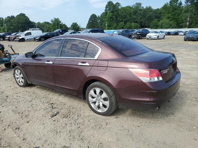 5KBCP3F85AB011362 - 2010 HONDA ACCORD EXL MAROON photo 2