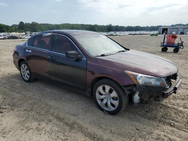 5KBCP3F85AB011362 - 2010 HONDA ACCORD EXL MAROON photo 4