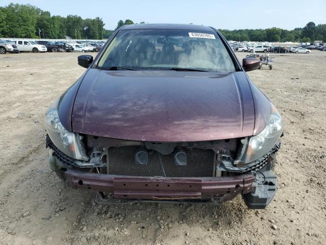 5KBCP3F85AB011362 - 2010 HONDA ACCORD EXL MAROON photo 5