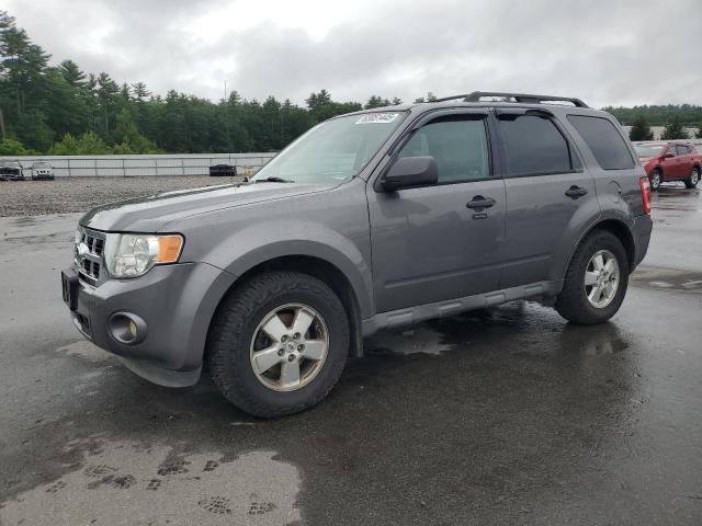 2010 FORD ESCAPE XLT, 