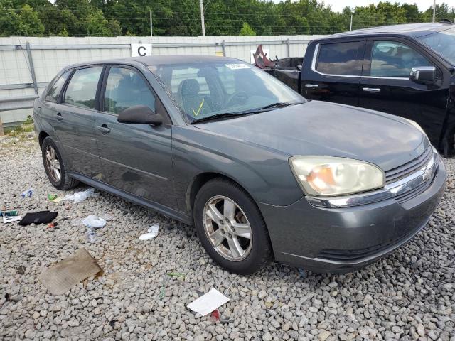 1G1ZT62845F220260 - 2005 CHEVROLET MALIBU MAXX LS ნაცრისფერი ფოტო 4