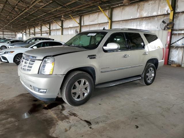 1GYS4AEF0BR387531 - 2011 CADILLAC ESCALADE TAN photo 1