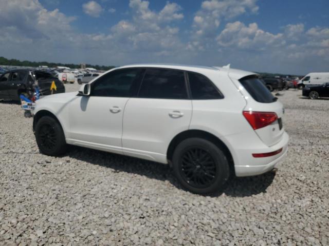 WA1LKAFP1AA047979 - 2010 AUDI Q5 PREMIUM PLUS WHITE photo 2
