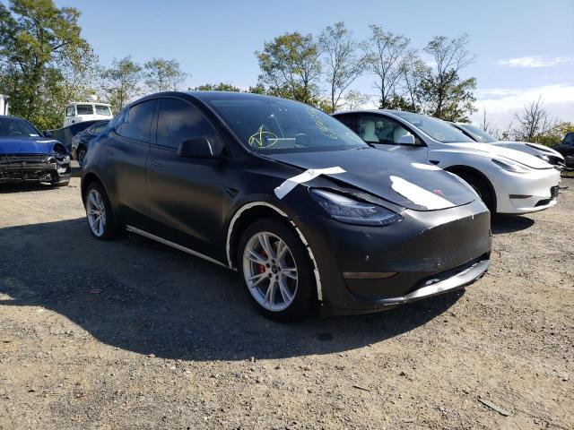 5YJYGDEE8MF305831 - 2021 TESLA MODEL Y BLACK photo 1