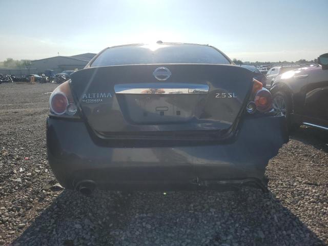 1N4AL2AP8AN417539 - 2010 NISSAN ALTIMA BASE GRAY photo 6