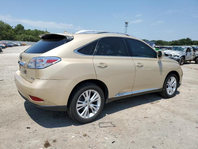 JTJBC1BA0A2006055 - 2010 LEXUS RX 450 TAN photo 3