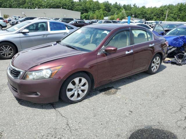 2009 HONDA ACCORD EXL, 