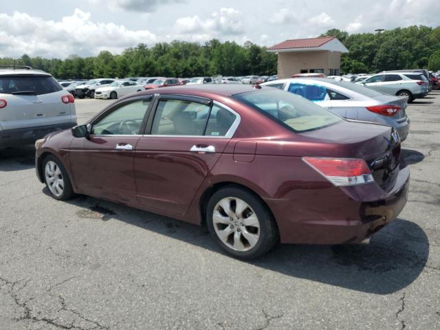 1HGCP36849A017061 - 2009 HONDA ACCORD EXL RED photo 2