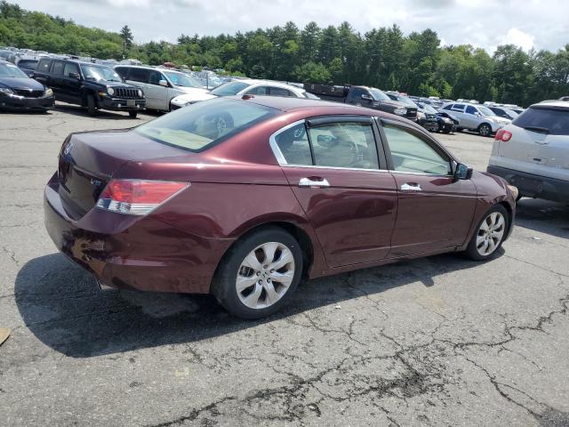 1HGCP36849A017061 - 2009 HONDA ACCORD EXL RED photo 3