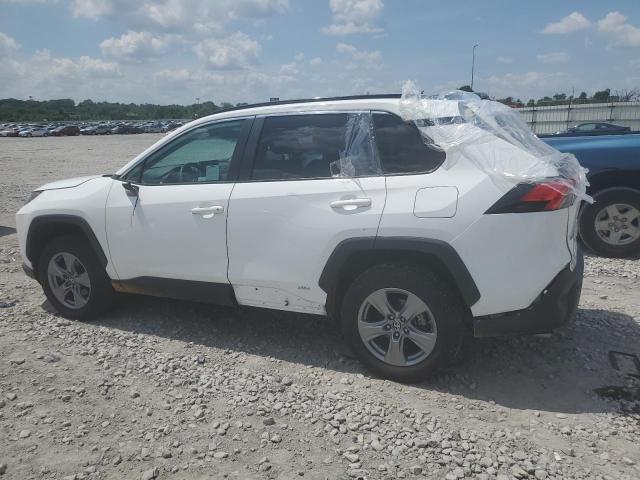 4T3MWRFV0RU143711 - 2024 TOYOTA RAV4 LE WHITE photo 2
