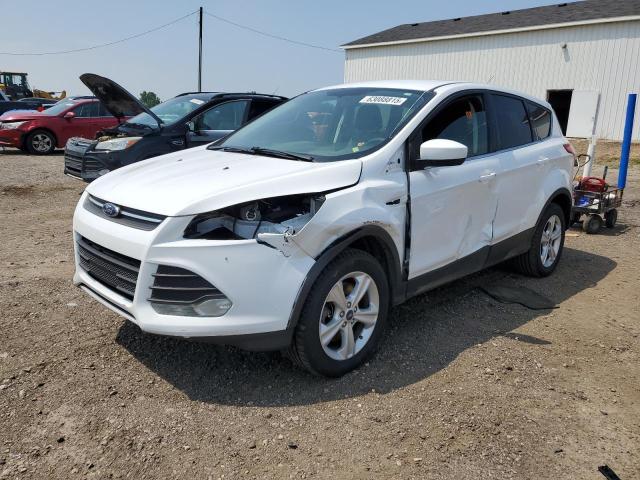 2014 FORD ESCAPE SE, 