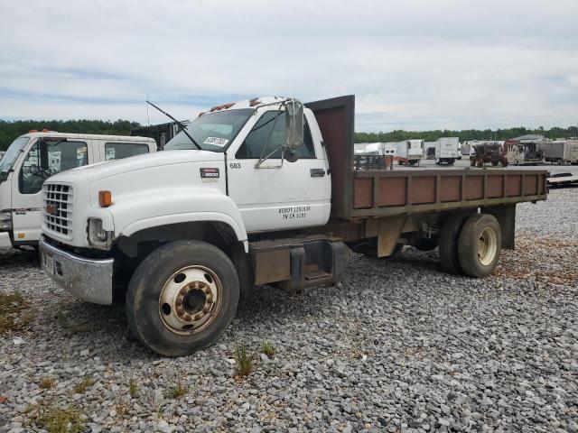 1GDJ7H1C8XJ517263 - 1999 GMC C-SERIES C7H042 白色 照片 2