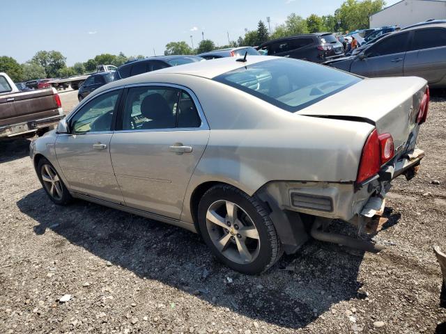 1G1ZC5E11BF183009 - 2011 CHEVROLET MALIBU 1LT GOLD photo 2