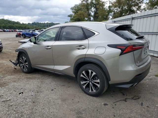 JTJSARDZ4M2247399 - 2021 LEXUS NX 300 BASE Boz foto 2