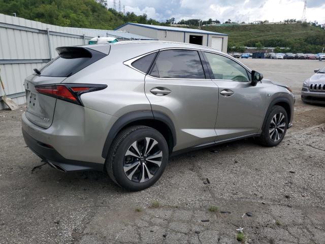 JTJSARDZ4M2247399 - 2021 LEXUS NX 300 BASE Boz foto 3