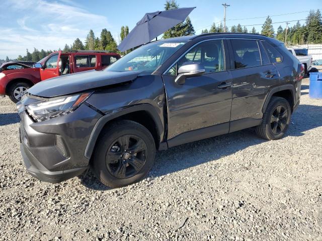 2023 TOYOTA RAV4 LE, 