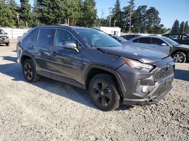 4T3MWRFV2PU088840 - 2023 TOYOTA RAV4 LE Grau Foto 4