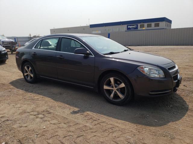 1G1ZC5E13BF172920 - 2011 CHEVROLET MALIBU 1LT ნაცრისფერი ფოტო 4