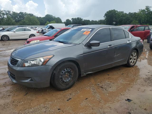 2010 HONDA ACCORD EXL, null