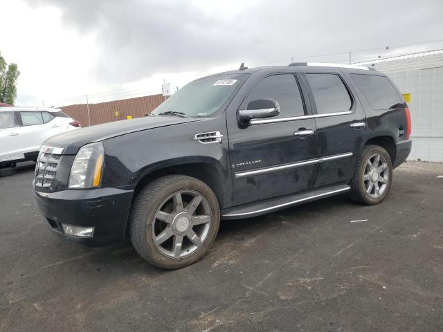 2008 CADILLAC ESCALADE LUXURY, null