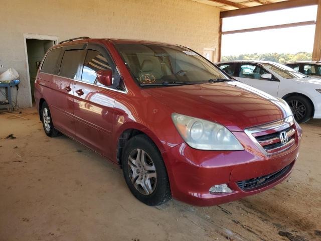 5FNRL38676B040255 - 2006 HONDA ODYSSEY EXL RED photo 1