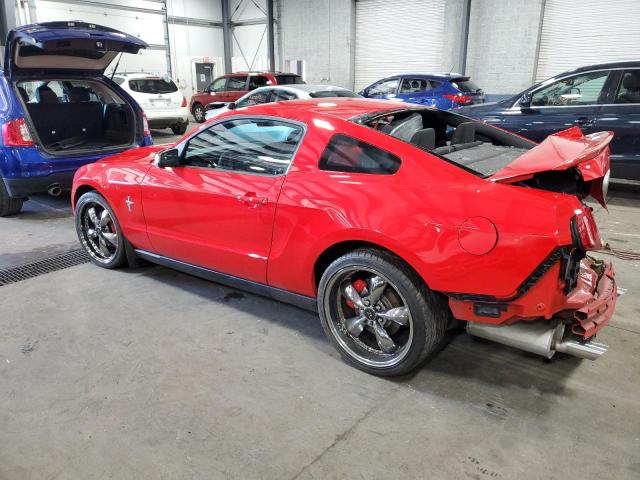 1ZVBP8AM4B5138826 - 2011 FORD MUSTANG RED photo 2